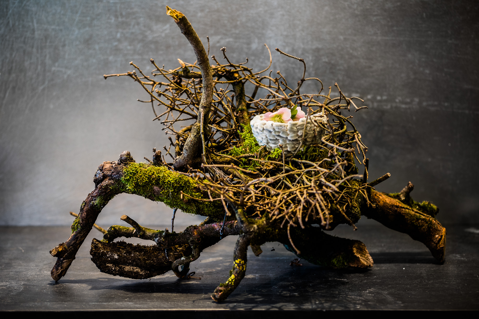 Export x3 5D4 9377 Businessauftrag 2017 Blattform Aarau